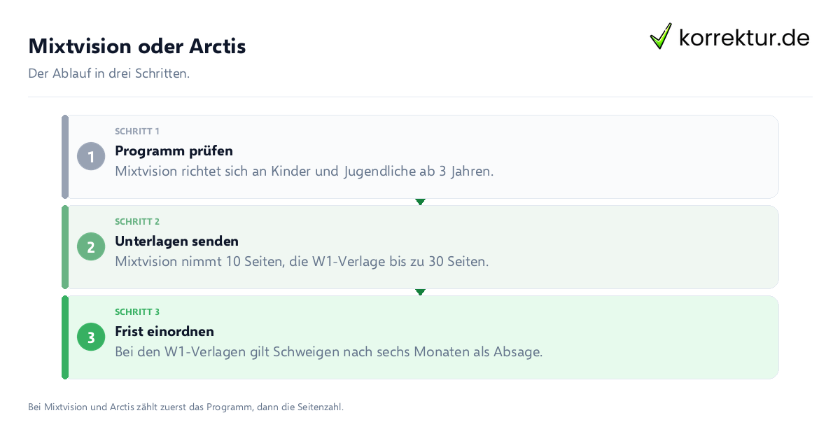 Mixtvision oder Arctis: der Ablauf in drei Schritten