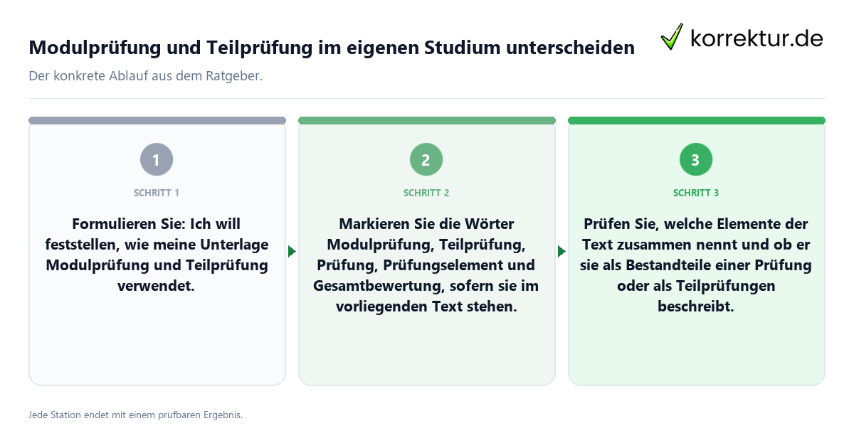 Konkrete Schritte zu Modulprüfung und Teilprüfung im eigenen Studium unterscheiden