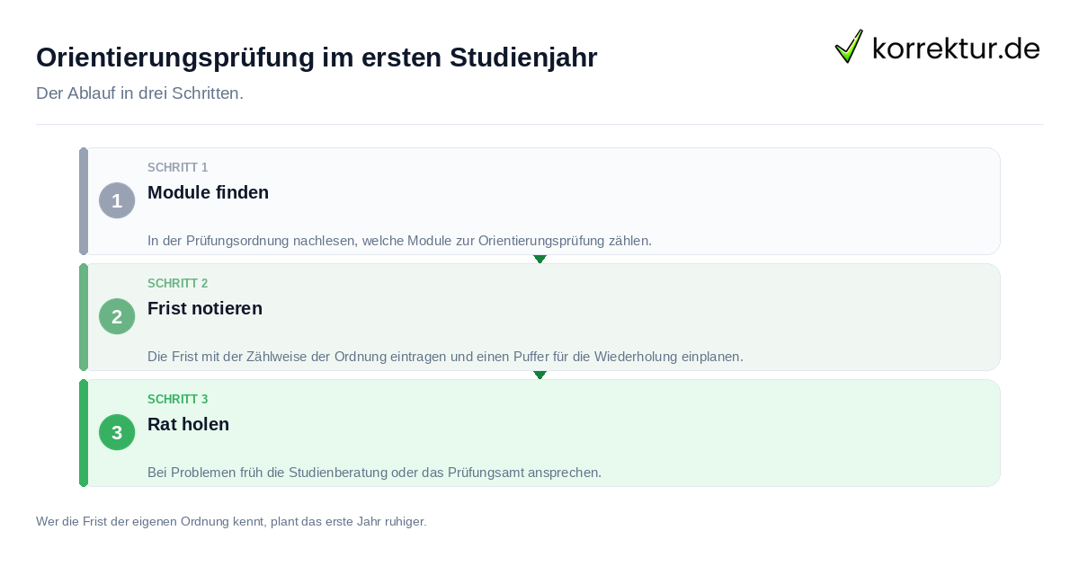 Orientierungsprüfung im ersten Studienjahr Orientierungsprüfung im ersten Studienjahr: der Ablauf in drei Schritten
