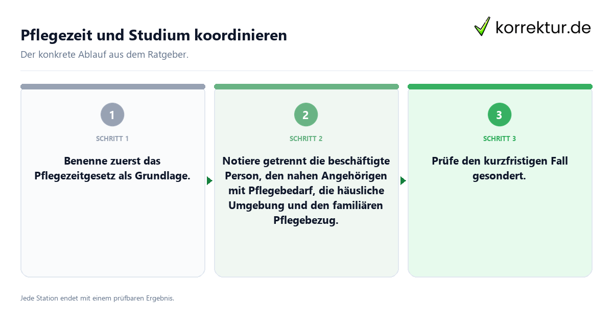 Konkrete Schritte zu Pflegezeit und Studium koordinieren