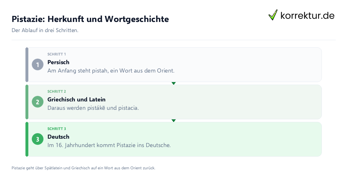 Pistazie: Herkunft und Wortgeschichte: der Ablauf in drei Schritten