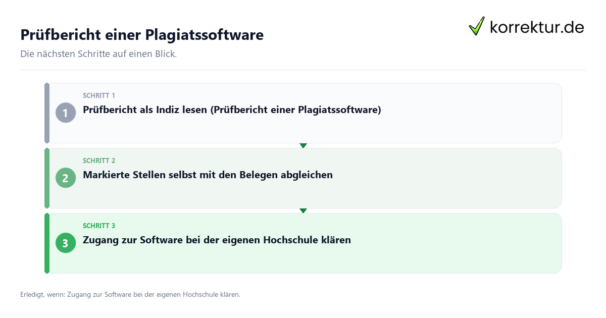 Prüfbericht einer Plagiatssoftware mit einem Ablauf aus Prüfung, Kontakt und Dokumentation