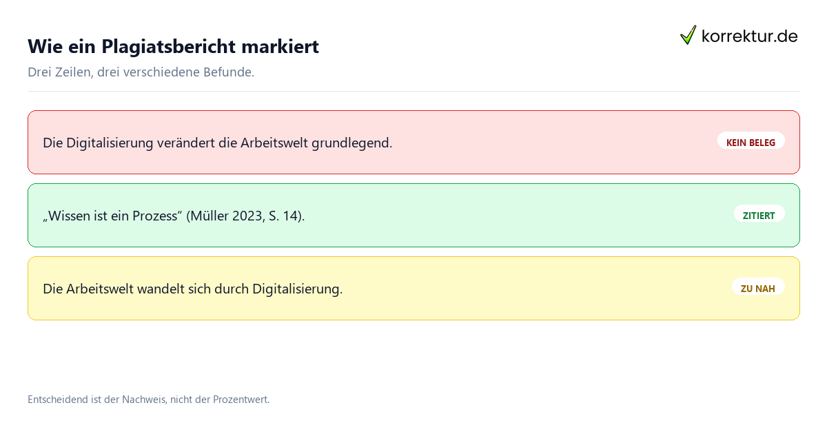 Plagiatsbericht: markierte Stellen im Beispiel