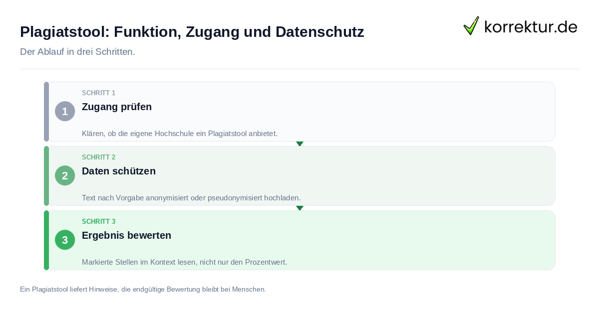 Plagiatstool: Funktion, Zugang und Datenschutz: der Ablauf in drei Schritten