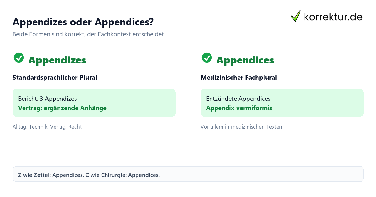Appendizes oder Appendices? Plural von Appendix: Appendizes und Appendices im Vergleich