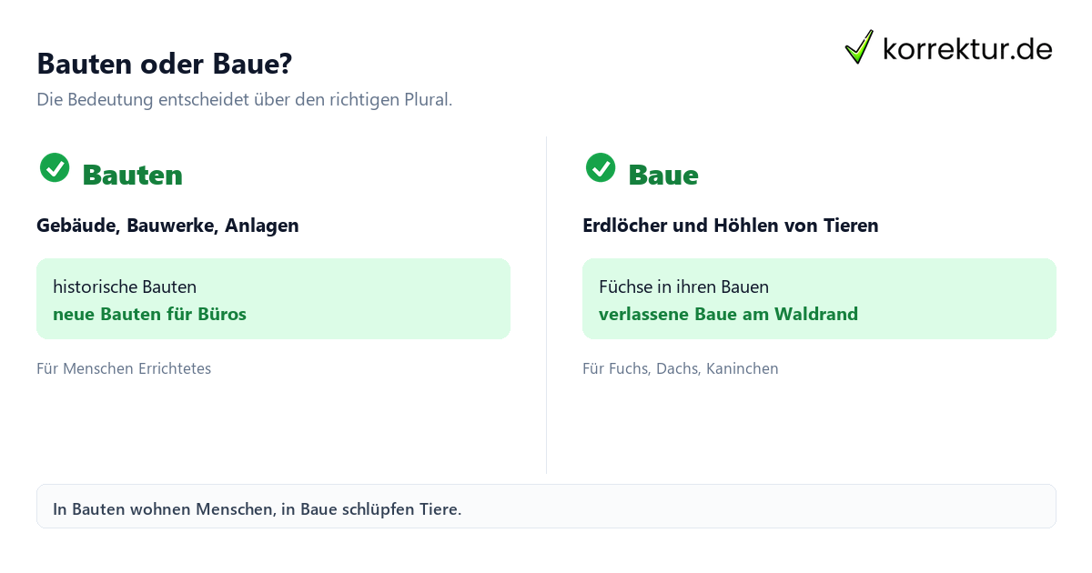 Plural von Bau: Bauten und Baue im Vergleich