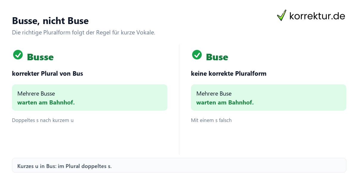 Plural von Bus: Busse oder Buse im Vergleich