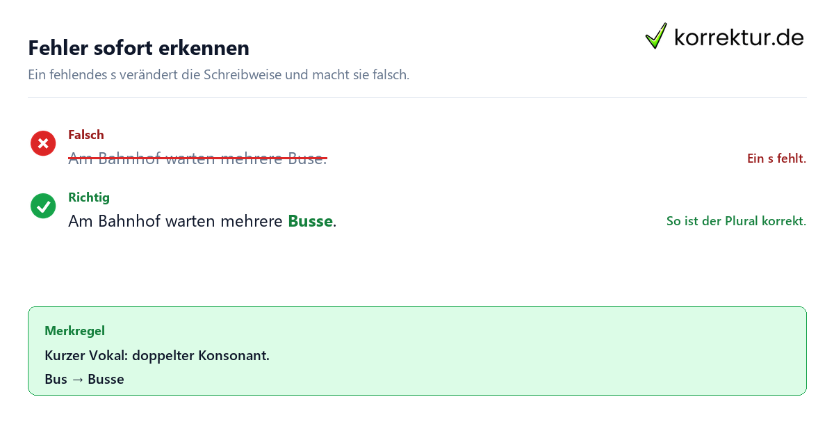 Plural von Bus richtig schreiben: Busse statt Buse