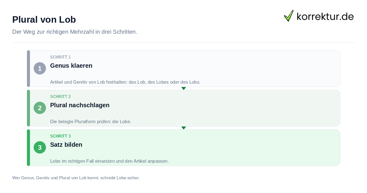 Plural von Lob Plural von Lob: der Ablauf in drei Schritten