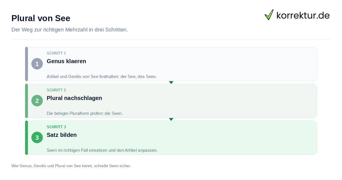 Plural von See: der Ablauf in drei Schritten