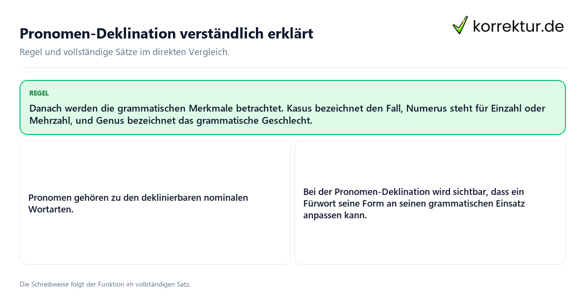 Pronomen-Deklination verständlich erklärt Konkrete Regel und vollständige Beispielsätze zu Pronomen-Deklination verständlich erklärt