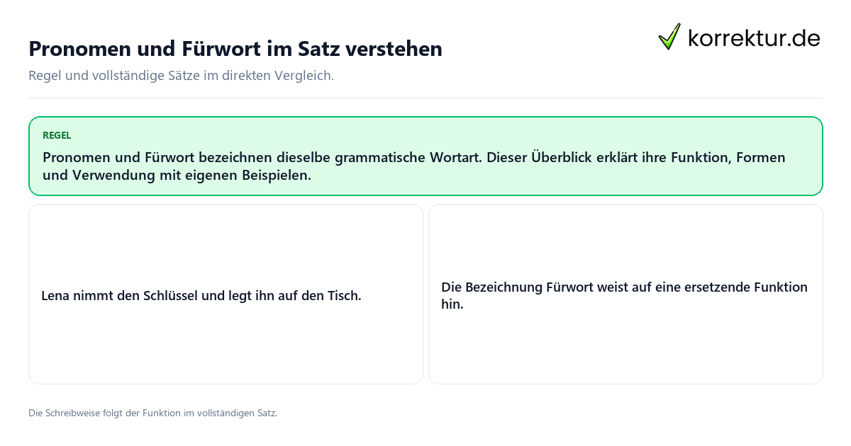 Konkrete Regel und vollständige Beispielsätze zu Pronomen und Fürwort im Satz verstehen