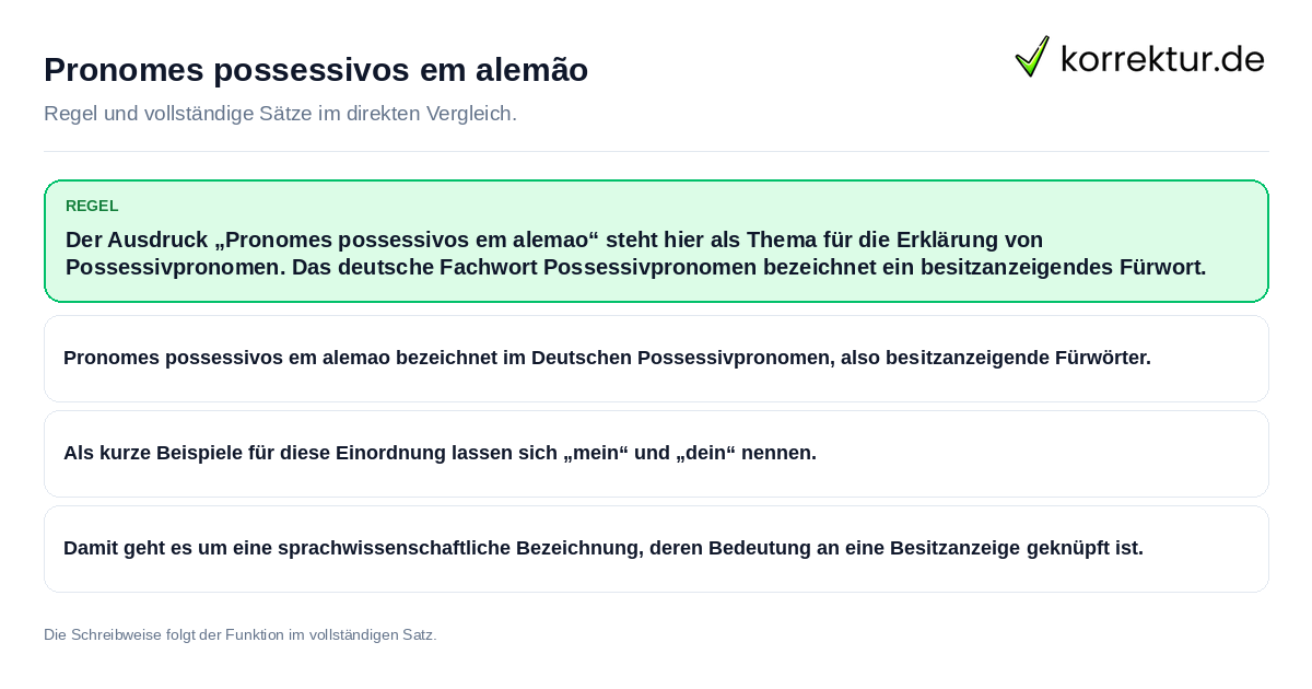 Pronomes possessivos em alemão Konkrete Regel und vollständige Beispielsätze zu Pronomes possessivos em alemão