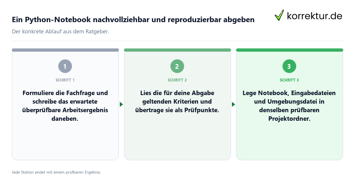 Konkrete Schritte zu Ein Python-Notebook nachvollziehbar und reproduzierbar abgeben