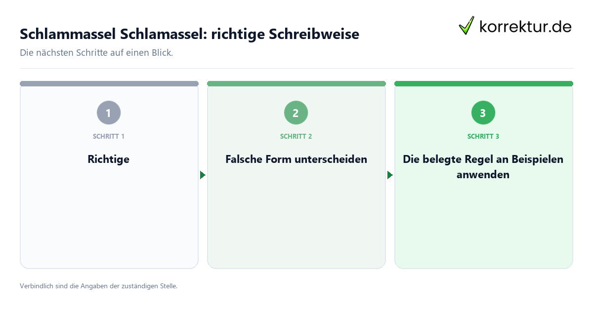 Schlammassel Schlamassel: richtige Schreibweise mit einem Ablauf aus Prüfung, Kontakt und Dokumentation