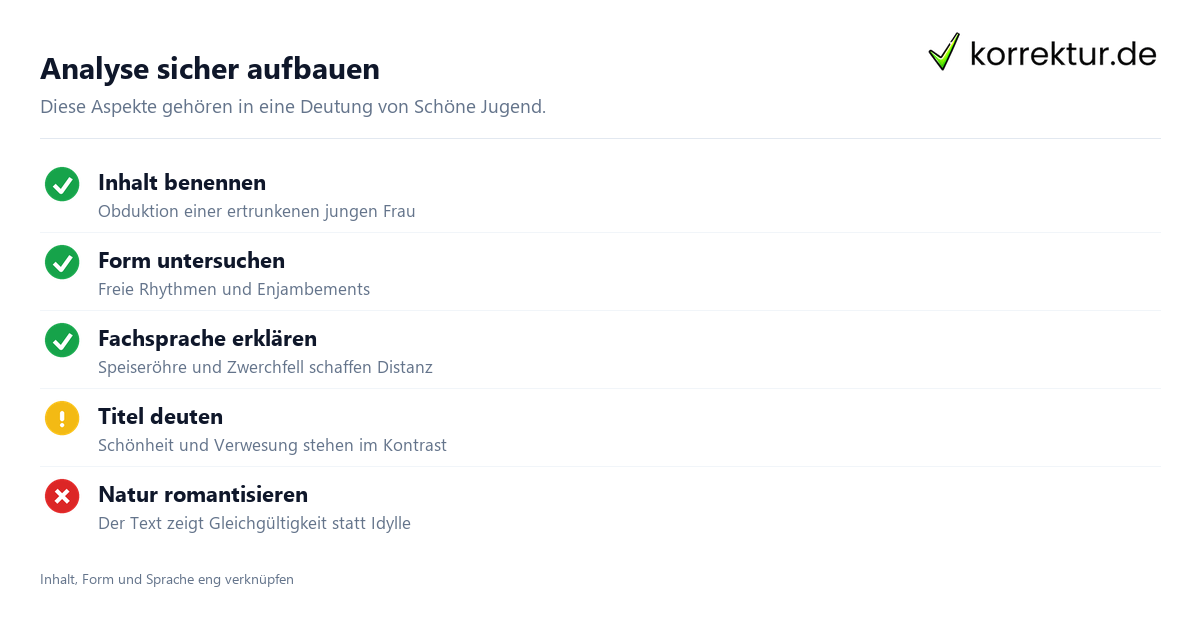 Schöne Jugend Schöne Jugend