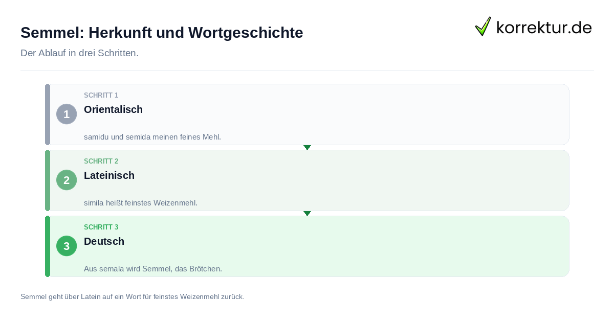 Semmel: Herkunft und Wortgeschichte: der Ablauf in drei Schritten