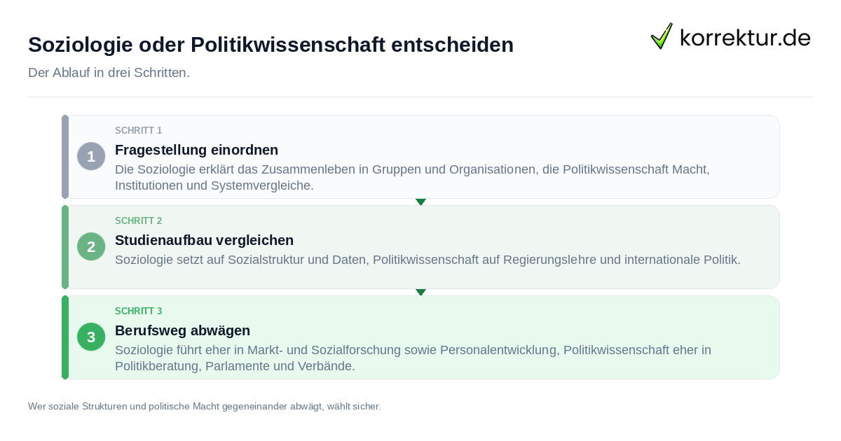 Soziologie oder Politikwissenschaft entscheiden: der Ablauf in drei Schritten