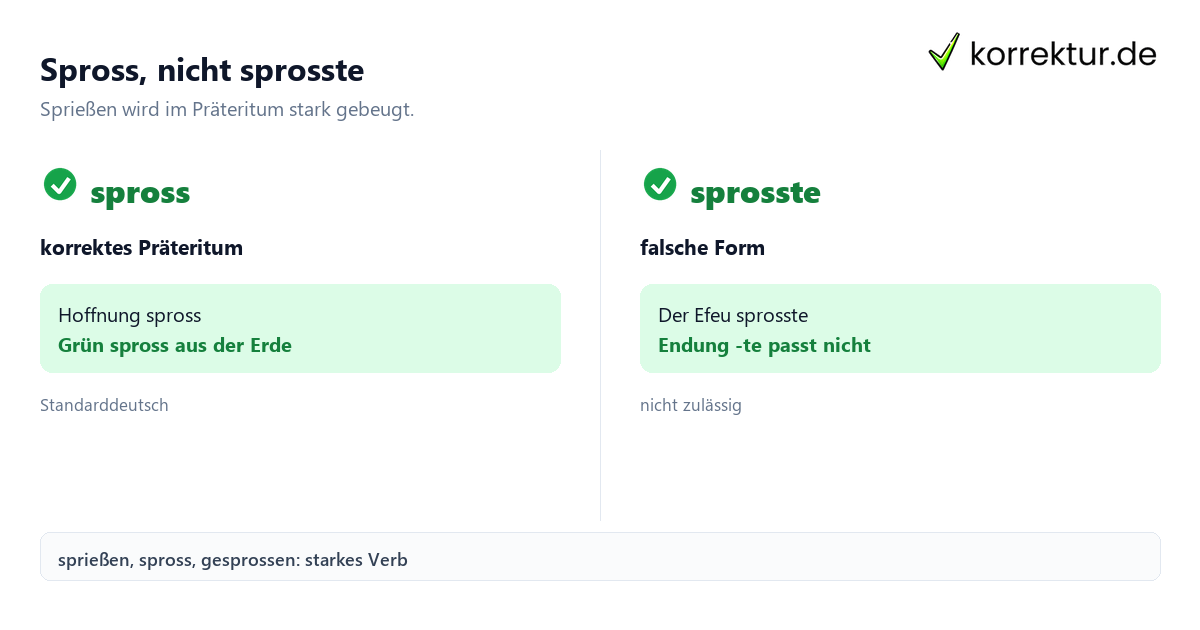 Spross, nicht sprosste Spross oder sprosste: Die Regel zur korrekten Präteritumform
