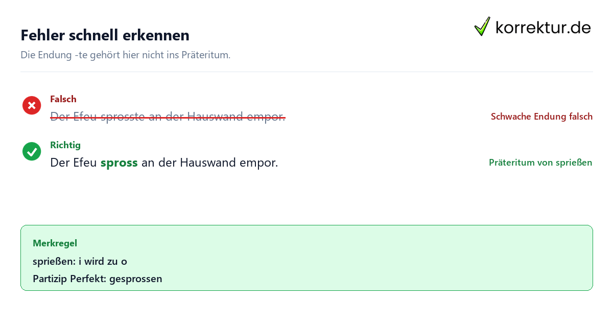 Spross oder sprosste: Die Regel mit Satzkorrektur