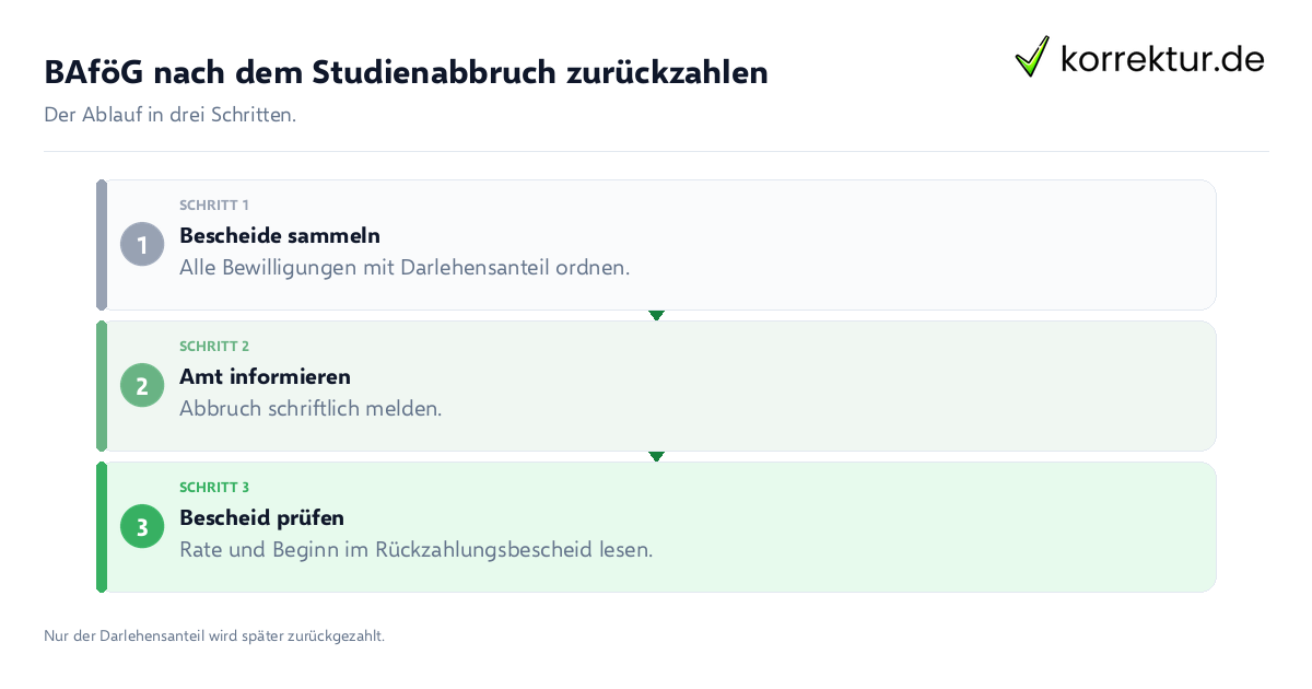 BAföG nach dem Studienabbruch zurückzahlen BAföG nach dem Studienabbruch zurückzahlen: der Ablauf in drei Schritten