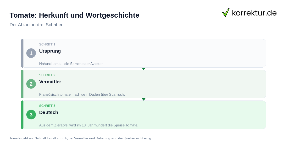 Tomate: Herkunft und Wortgeschichte: der Ablauf in drei Schritten