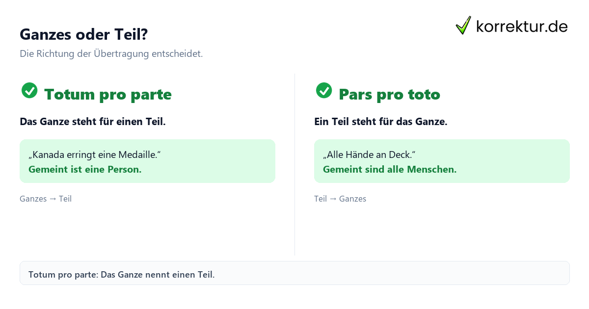 Ganzes oder Teil? Totum pro parte verständlich erklärt: Unterschied zu Pars pro toto