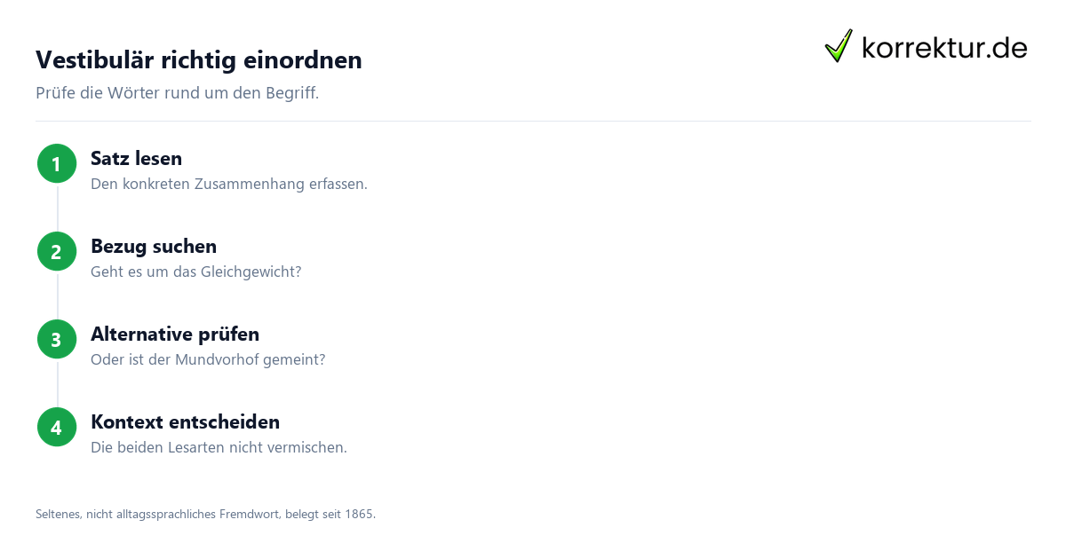 Vestibulär richtig einordnen Was bedeutet „vestibulär“? Bedeutung im Kontext erkennen