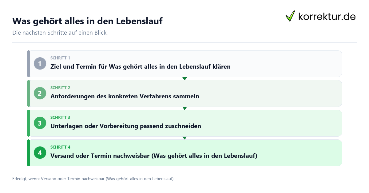 Was gehört alles in den Lebenslauf mit einem Ablauf aus Prüfung, Kontakt und Dokumentation