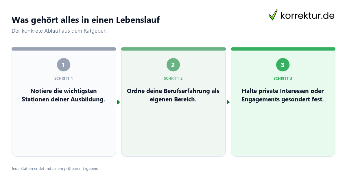 Was gehört alles in einen Lebenslauf Konkrete Schritte zu Was gehört alles in einen Lebenslauf