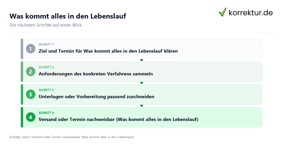 Was kommt alles in den Lebenslauf mit einem Ablauf aus Prüfung, Kontakt und Dokumentation