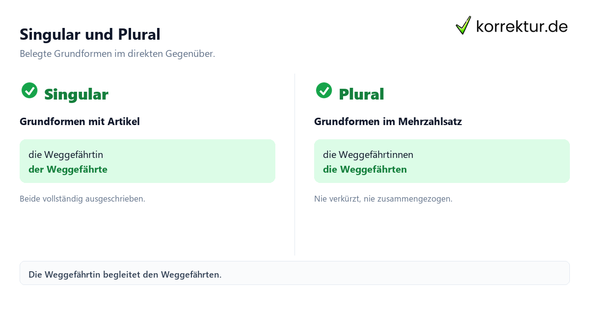 Singular und Plural Weggefährte richtig gendern: Singular und Plural im Vergleich