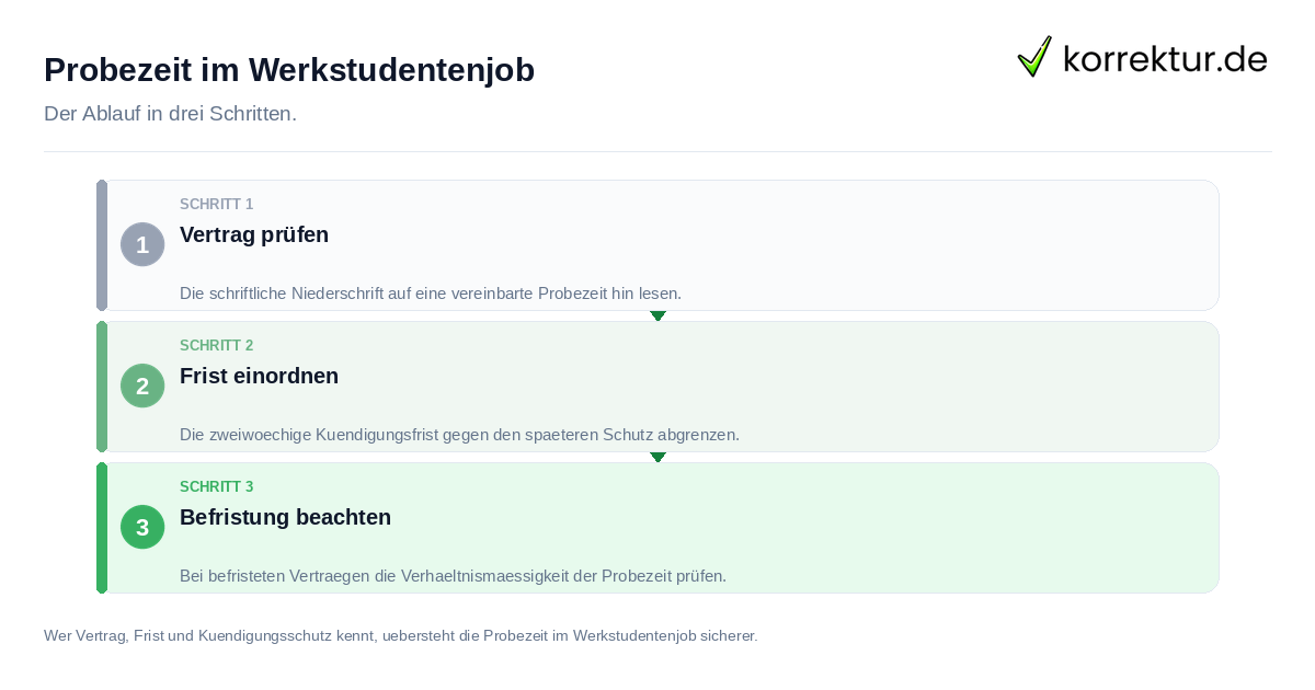 Probezeit im Werkstudentenjob: der Ablauf in drei Schritten