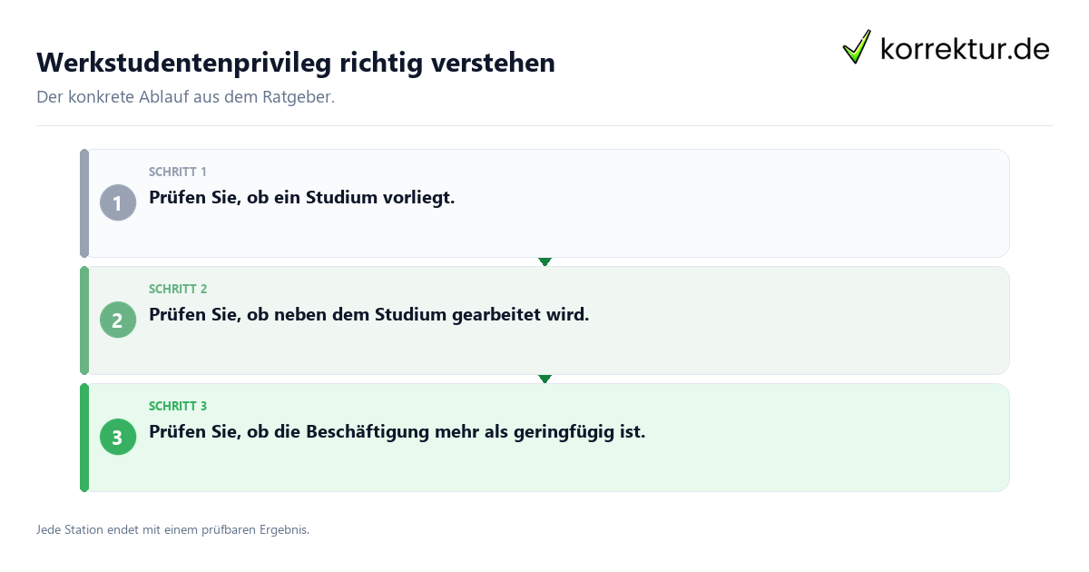 Konkrete Schritte zu Werkstudentenprivileg richtig verstehen