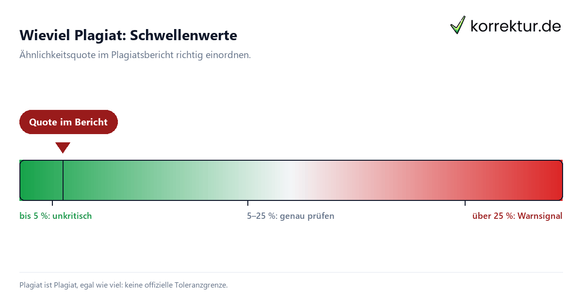 Wieviel Plagiat ist erlaubt?