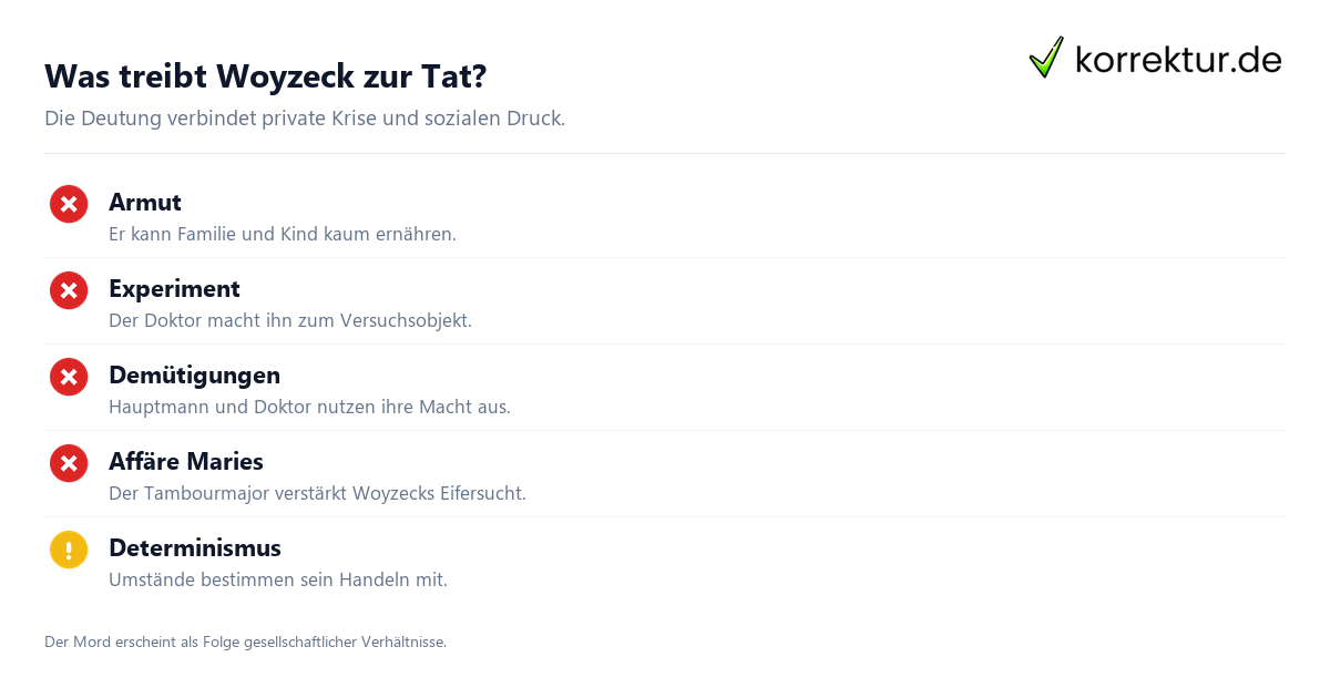 Woyzeck Infografik zu Ursachen der Katastrophe