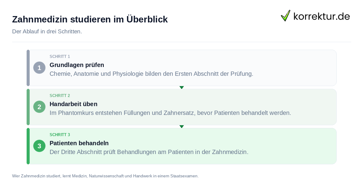 Zahnmedizin studieren im Überblick Zahnmedizin studieren im Überblick: der Ablauf in drei Schritten