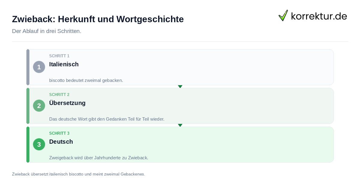 Zwieback: Herkunft und Wortgeschichte: der Ablauf in drei Schritten