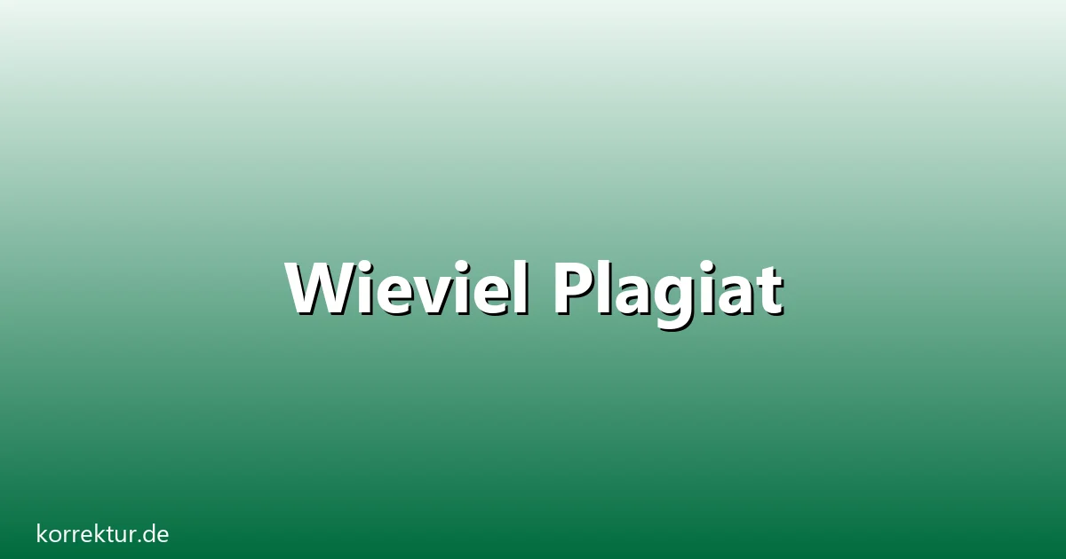 Wieviel Plagiat – Übersicht und Hintergrund